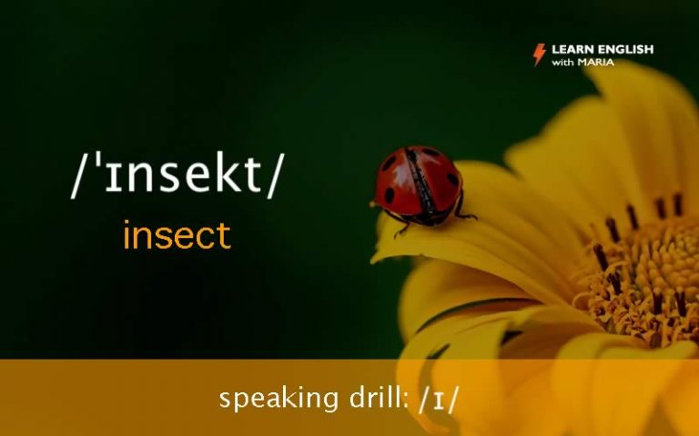 speaking-drill-learn-english-with-maria